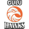 GuluHawks