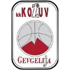 https://img.cyjxw.net/img/basketball/team/4b06fe02aaa7da5901e5698485059da0.png