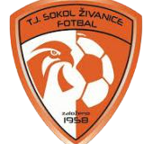 https://img.cyjxw.net/img/football/team/5477d301041e00b2de35d5eeea2fabb4.png